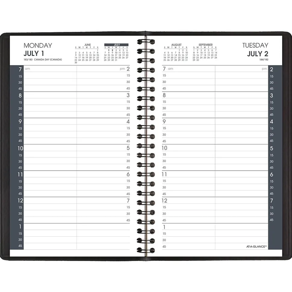 2024-2025 AT-A-GLANCE 5" x 8" Academic Daily Planner, Faux Leather Cover, Black (70-807-05-25)