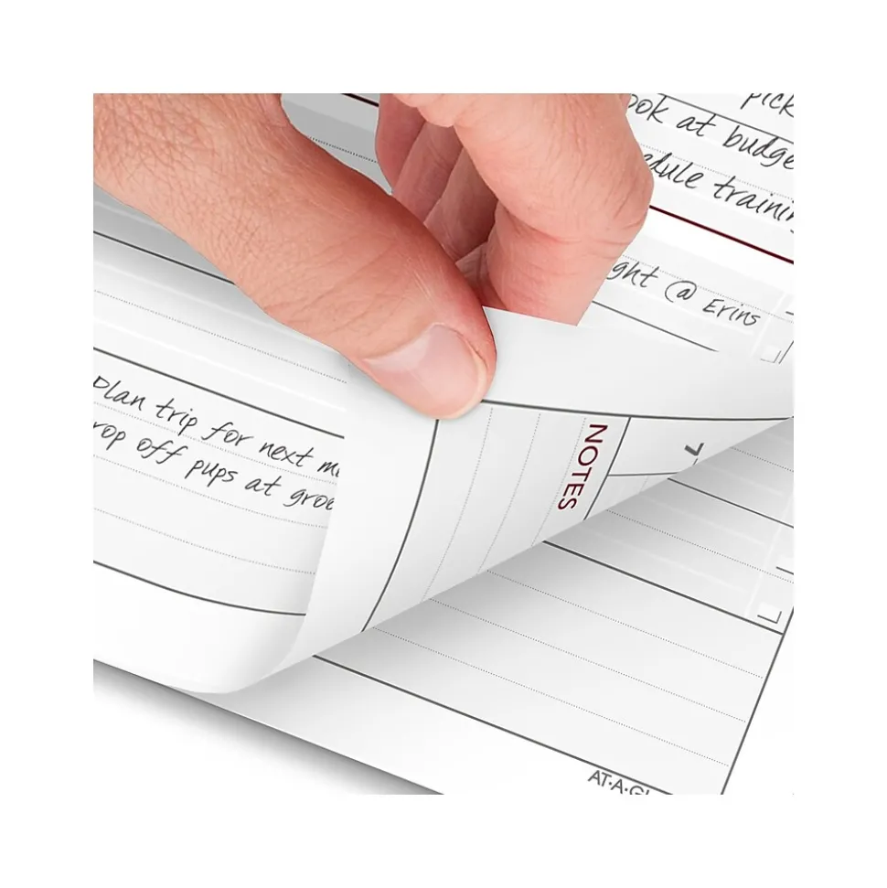2025 AT-A-GLANCE 3.75" x 6.75" Daily Planner Refill, White/Red (063-125Y-25)