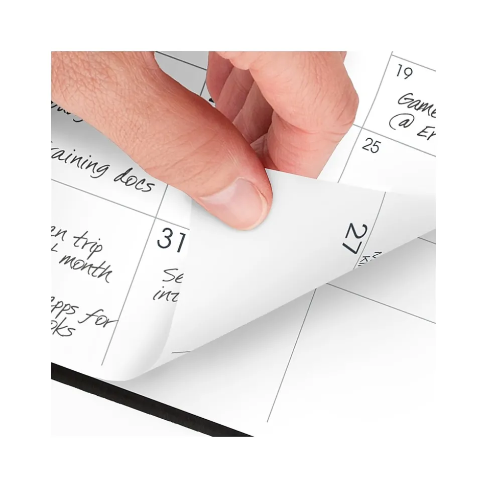 2025-2026 AT-A-GLANCE 3.5" x 6" Monthly Planner, Faux Leather Cover, Black (70-024-05-25)