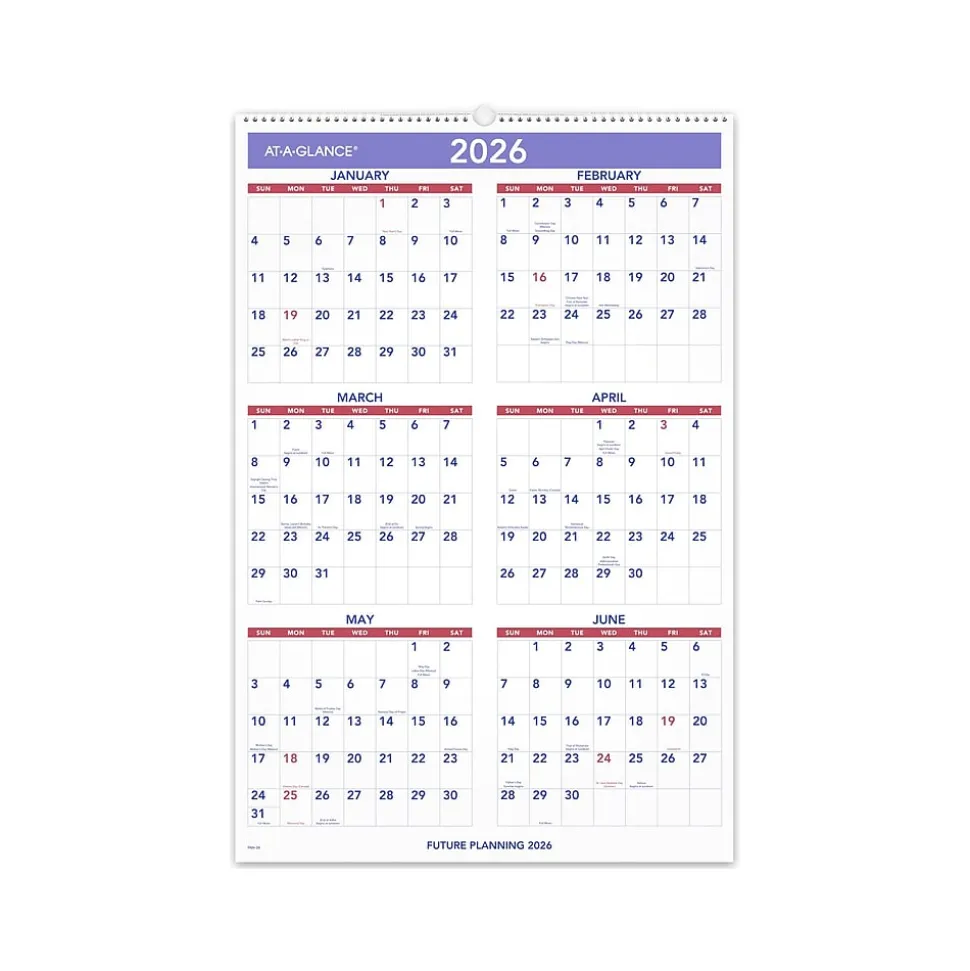 2025 AT-A-GLANCE 20" x 30" Monthly Wall Calendar, White/Purple (PM4-28-25)