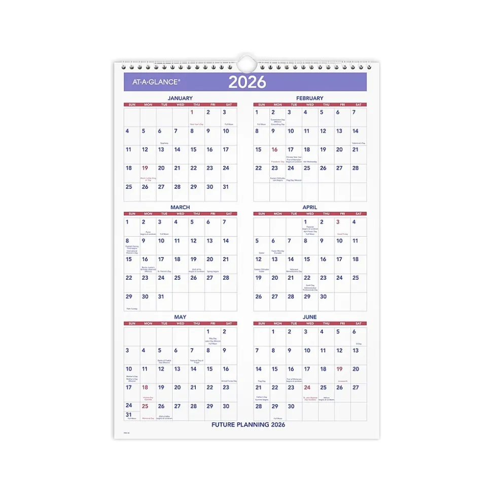 2025 AT-A-GLANCE 12" x 17" Monthly Wall Calendar, (PM2-28-25)