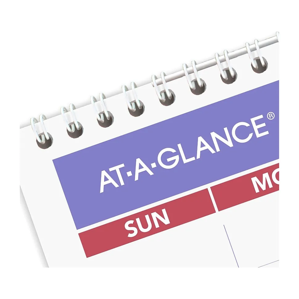 2025 AT-A-GLANCE 12" x 17" Monthly Wall Calendar, (PM2-28-25)
