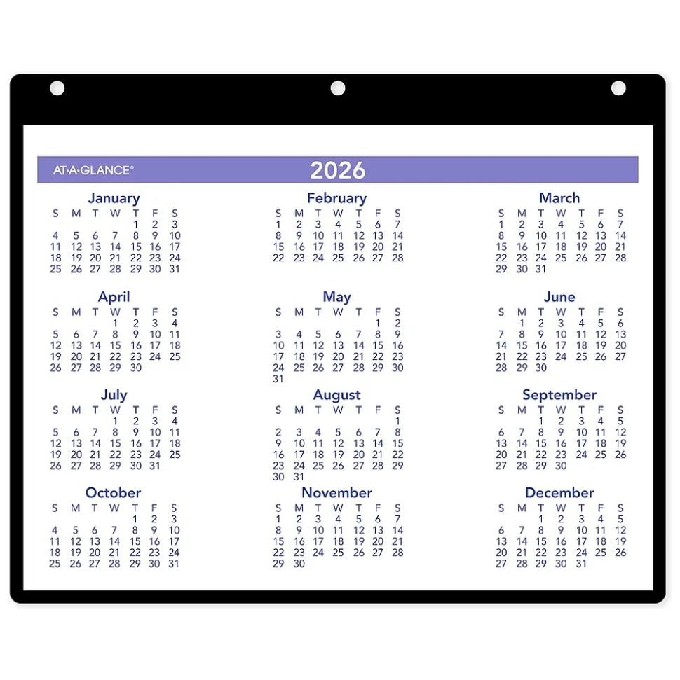 2025 AT-A-GLANCE 11" x 8" Monthly Wet-Erase Desk or Wall Calendar with Jacket, Multicolor (SK8-00-25)
