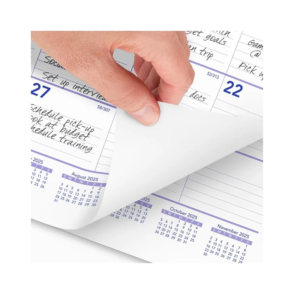 2025 AT-A-GLANCE 22" x 29" Two-Month Wall Calendar, White/Purple (PM9-28-25)