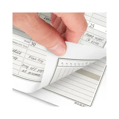 2025 AT-A-GLANCE 3.75