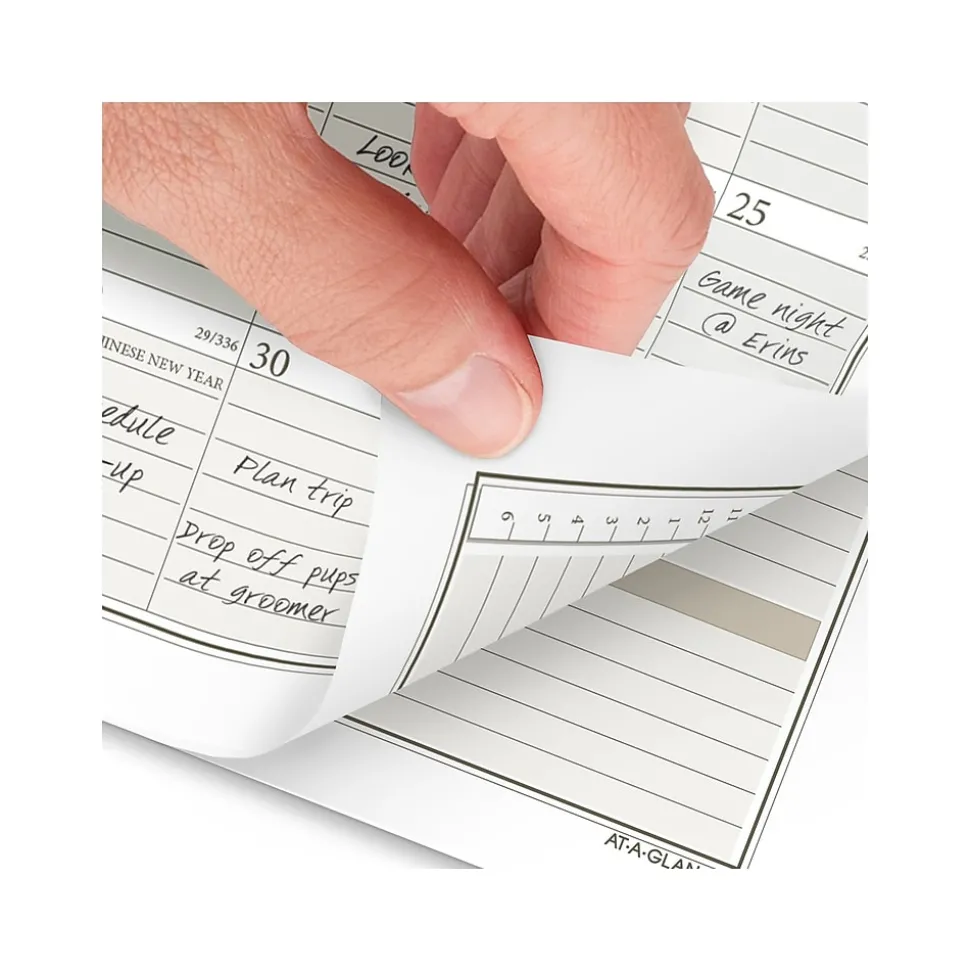 2025 AT-A-GLANCE 3.75" x 6.75" Weekly & Monthly Planner Refill, White/Brown (471-285Y-25)