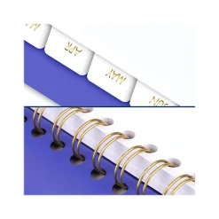 2024-2025 AT-A-GLANCE Contemporary 8.25