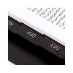 2024-2025 AT-A-GLANCE Contemporary Lite 7