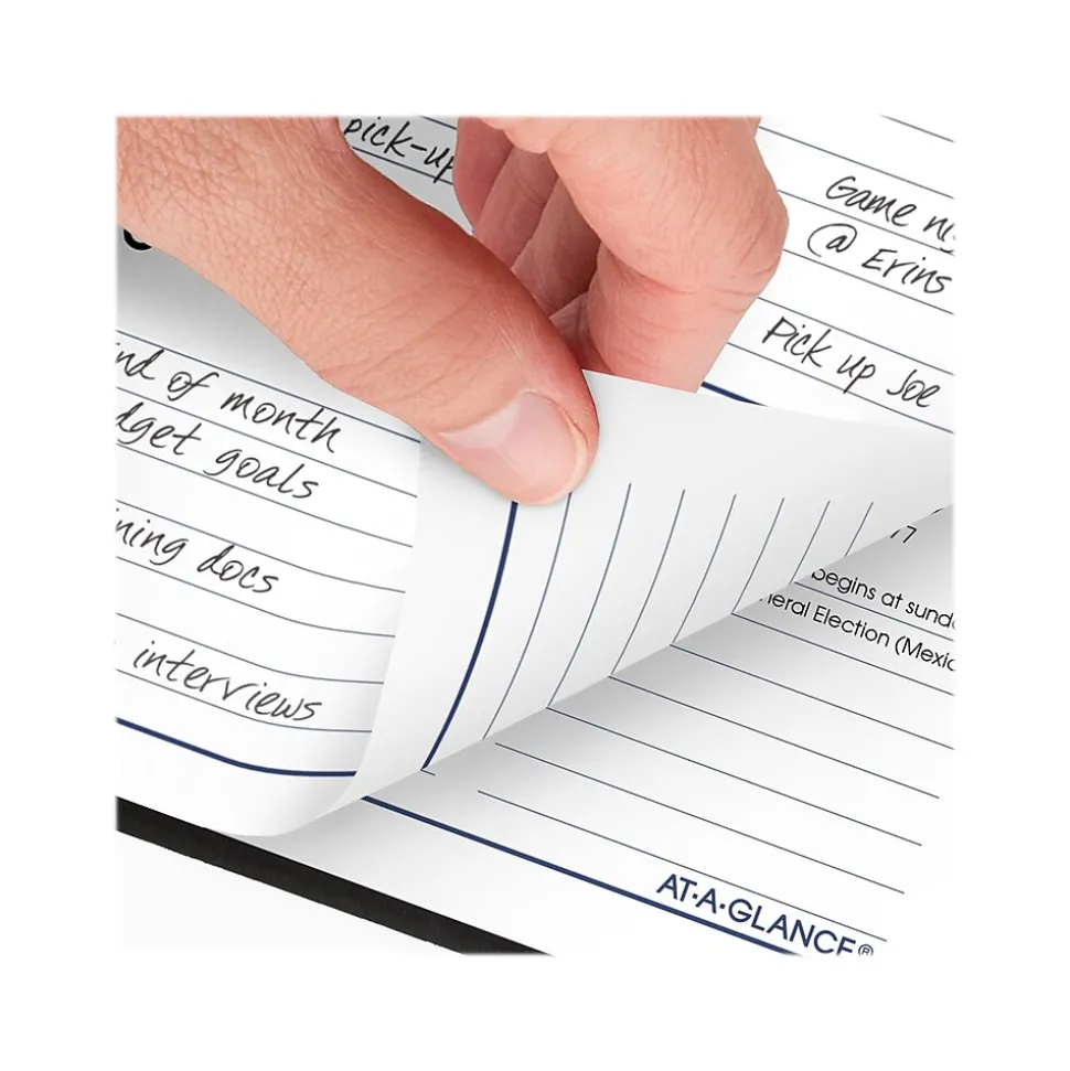 2024-2025 AT-A-GLANCE DayMinder 3.5" x 6" Academic Weekly Planner, Black (AY48-00-25)