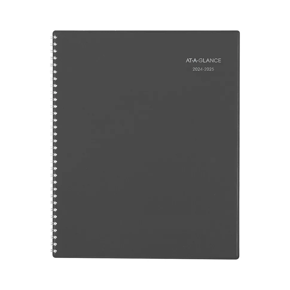 2024-2025 AT-A-GLANCE DayMinder 8.5" x 11" Academic Weekly & Monthly Planner, Poly Cover, Charcoal (AYC545-45-25)