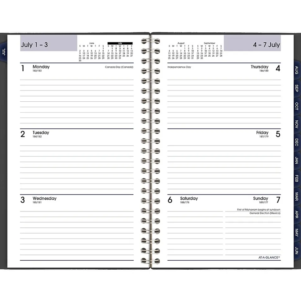 2024-2025 AT-A-GLANCE DayMinder 5" x 8" Academic Weekly & Monthly Planner, Poly Cover, Charcoal (AYC200-45-25)