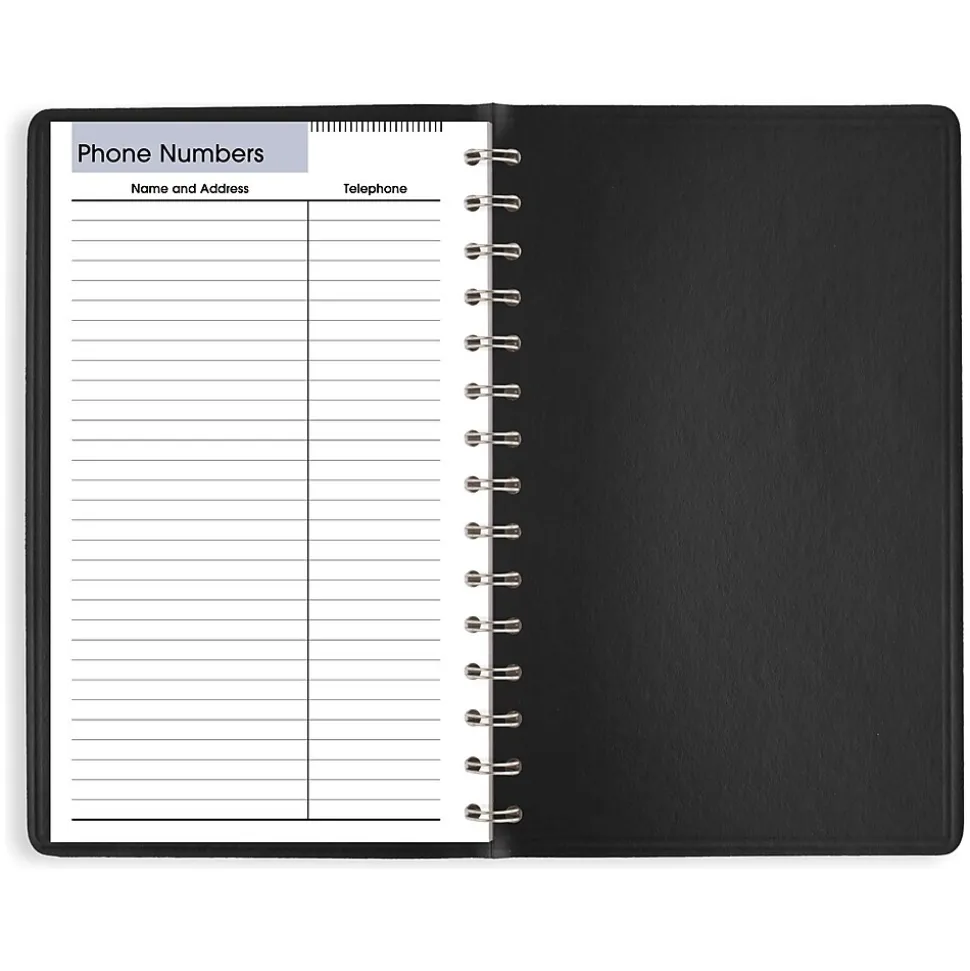 2025 AT-A-GLANCE DayMinder 5" x 8" Daily Planner, Faux Leather Cover, Black (SK46-00-25)