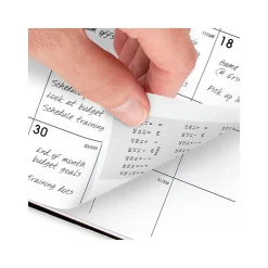 2025 AT-A-GLANCE DayMinder 7