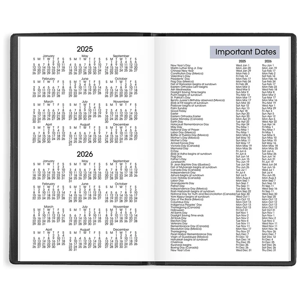 2025 AT-A-GLANCE DayMinder 3.5" x 6" Weekly Planner, Poly Cover, Black (SK48-00-25)