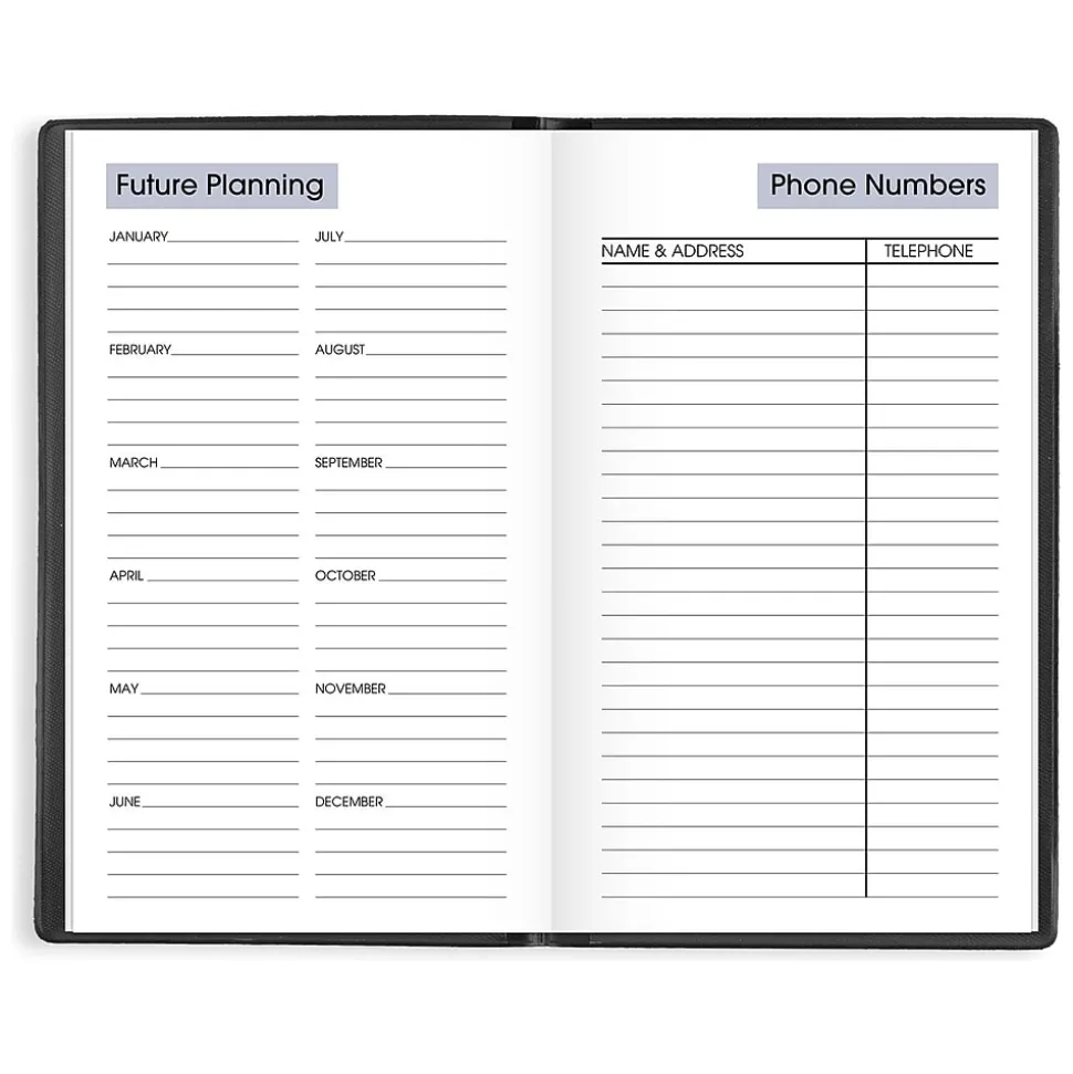 2025 AT-A-GLANCE DayMinder 3.5" x 6" Weekly Planner, Poly Cover, Black (SK48-00-25)