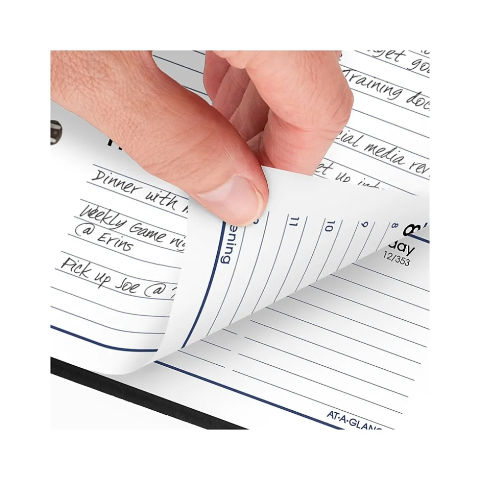 2025 AT-A-GLANCE DayMinder 3.5" x 6" Weekly Appointment Book Planner, Faux Leather Cover, Black (G250-00-25)