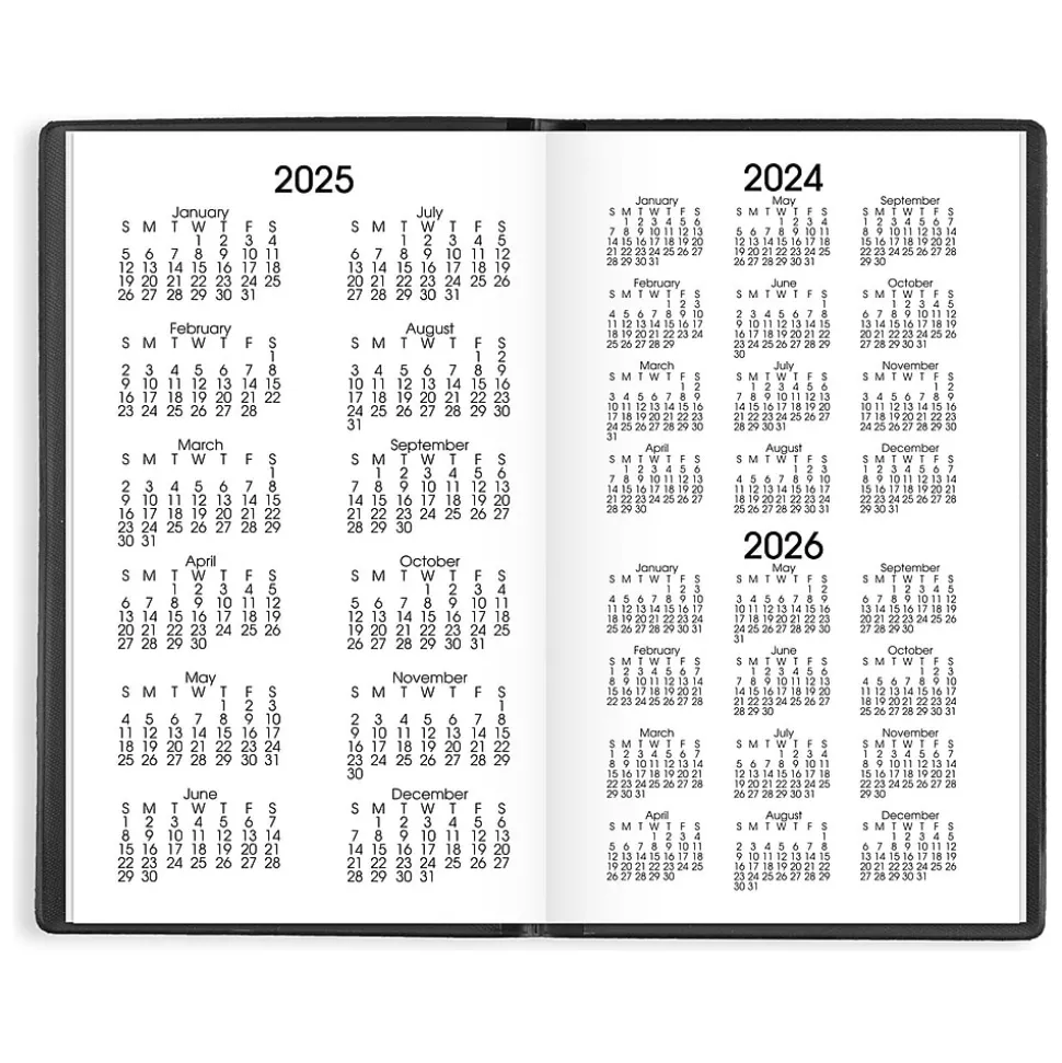 2025 AT-A-GLANCE DayMinder 3.5" x 6" Monthly Planner, Plastic Cover, Black (SK53-00-25)
