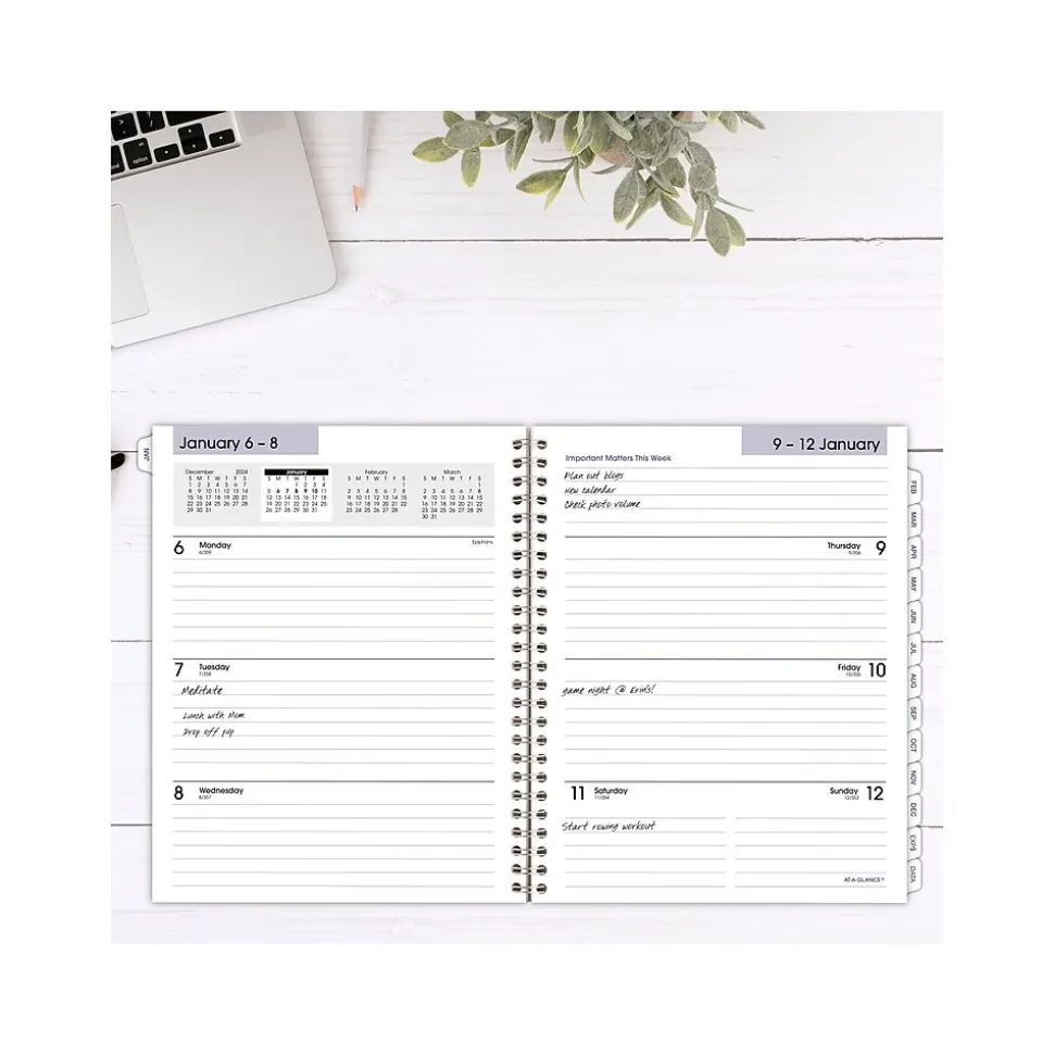 2025 AT-A-GLANCE DayMinder Executive 8.75" x 7" Weekly & Monthly Planner Refill Pages, White (G545-50-25)