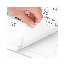 2025 AT-A-GLANCE Easy-to-Read 21.75