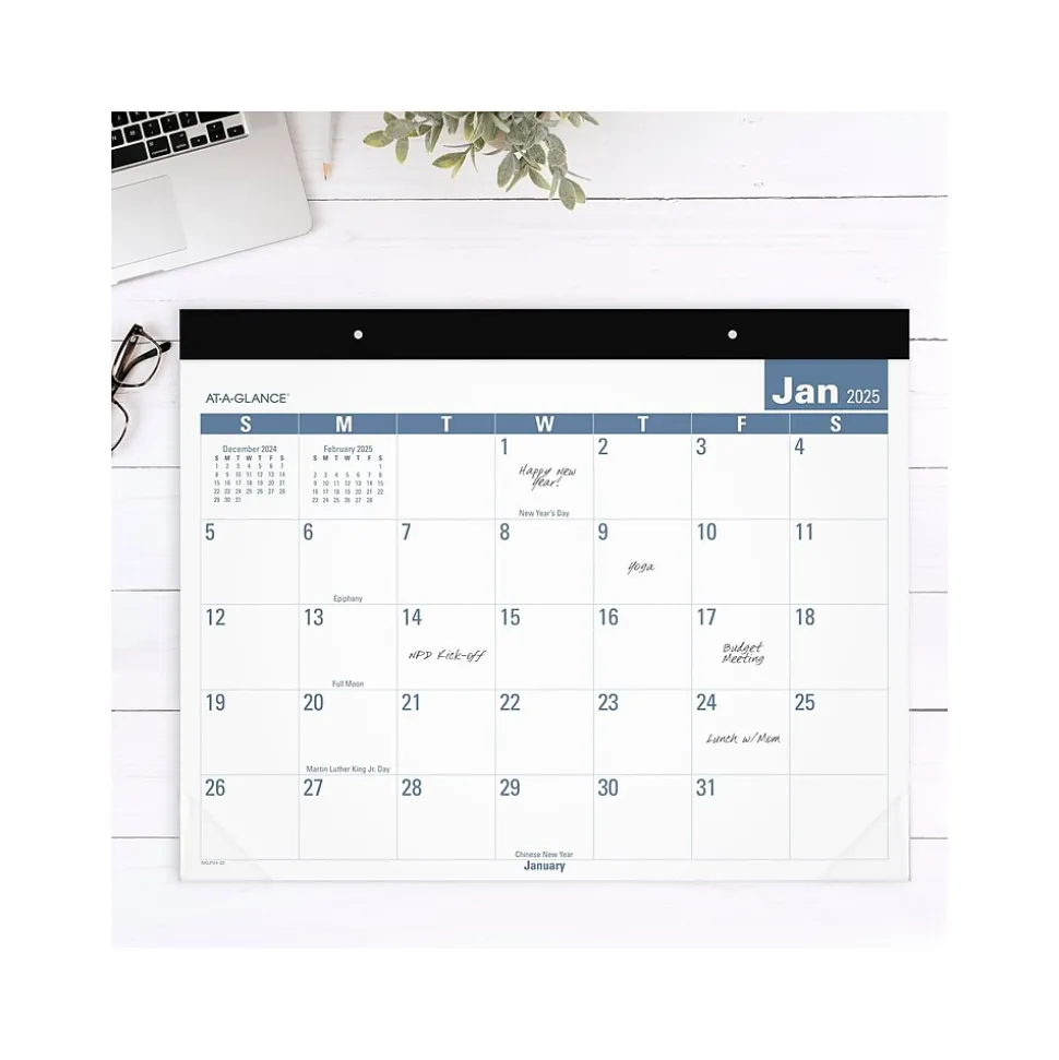 2025 AT-A-GLANCE Easy-to-Read 21.75" x 17" Monthly Desk Pad Calendar, White/Blue (SKLP24-32-25)