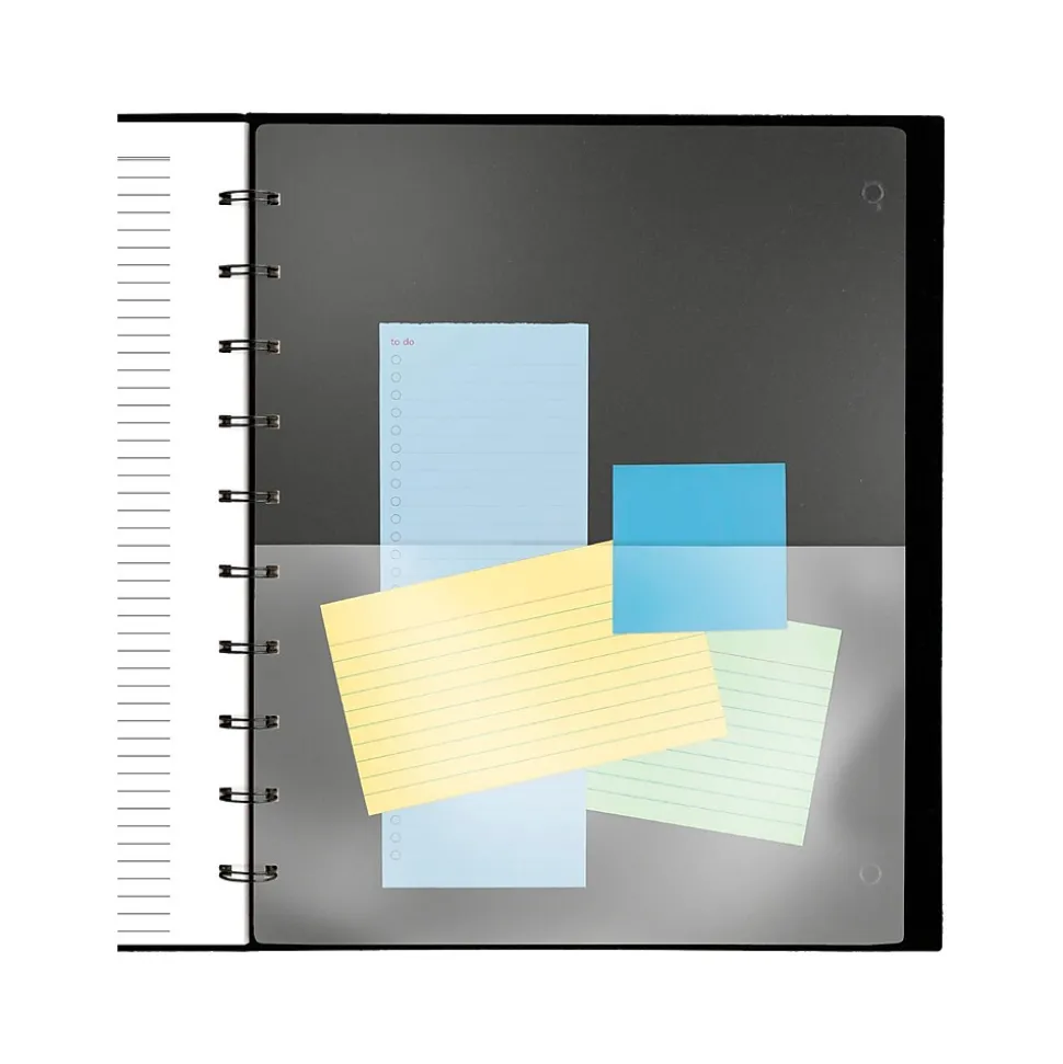 2025 AT-A-GLANCE Move-a-Page 8.75" x 11" Weekly & Monthly Appointment Book, Poly Cover, Black (70-950E-05-25)