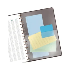 2024-2025 AT-A-GLANCE Signature 5.5