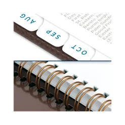 2024-2025 AT-A-GLANCE Signature 5.5