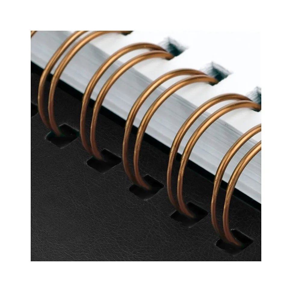 2025 AT-A-GLANCE Signature Lite 5.5" x 8.5" Weekly & Monthly Planner, Poly Cover, Black (YP200L-05-25)