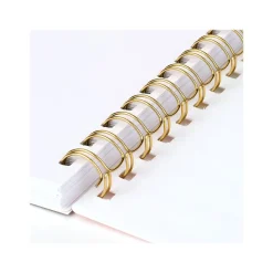 2024-2025 AT-A-GLANCE Simplified by Emily Ley Happy Stripe 5.5