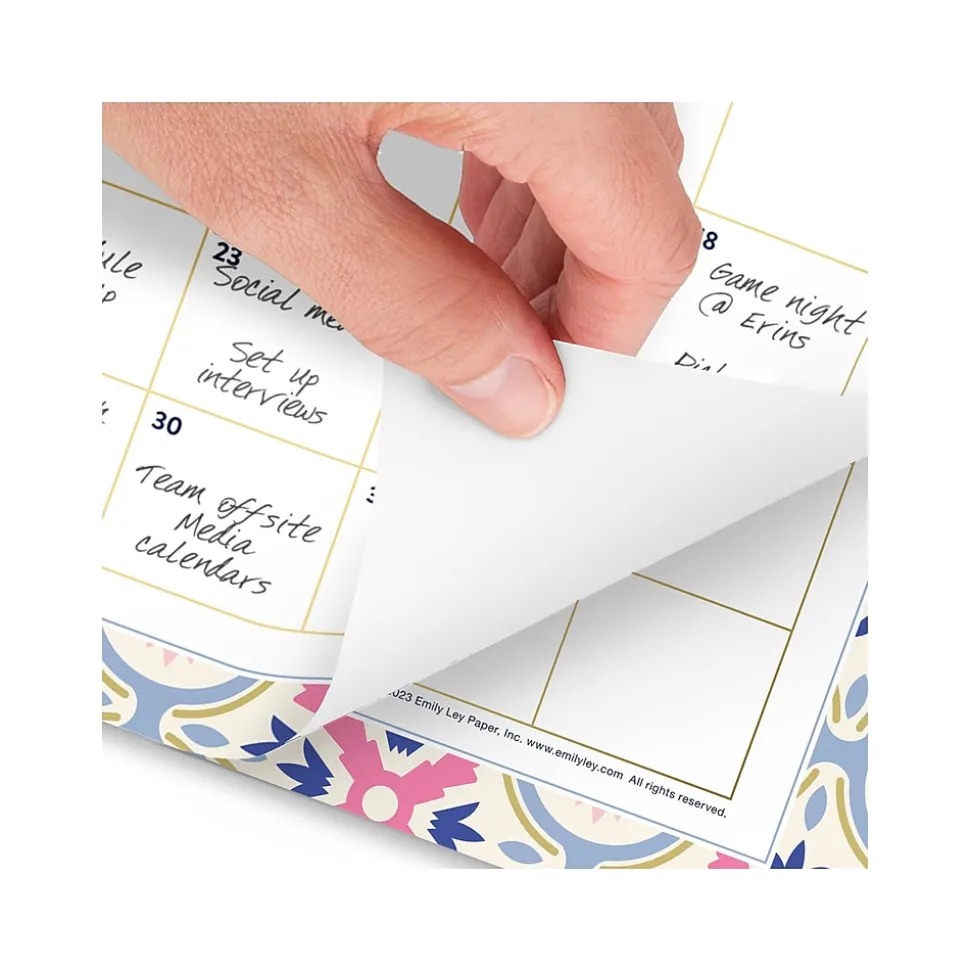 2025 AT-A-GLANCE Simplified by Emily Ley Tile 11" x 8.5" Monthly Wall Calendar (EL35-709-25)