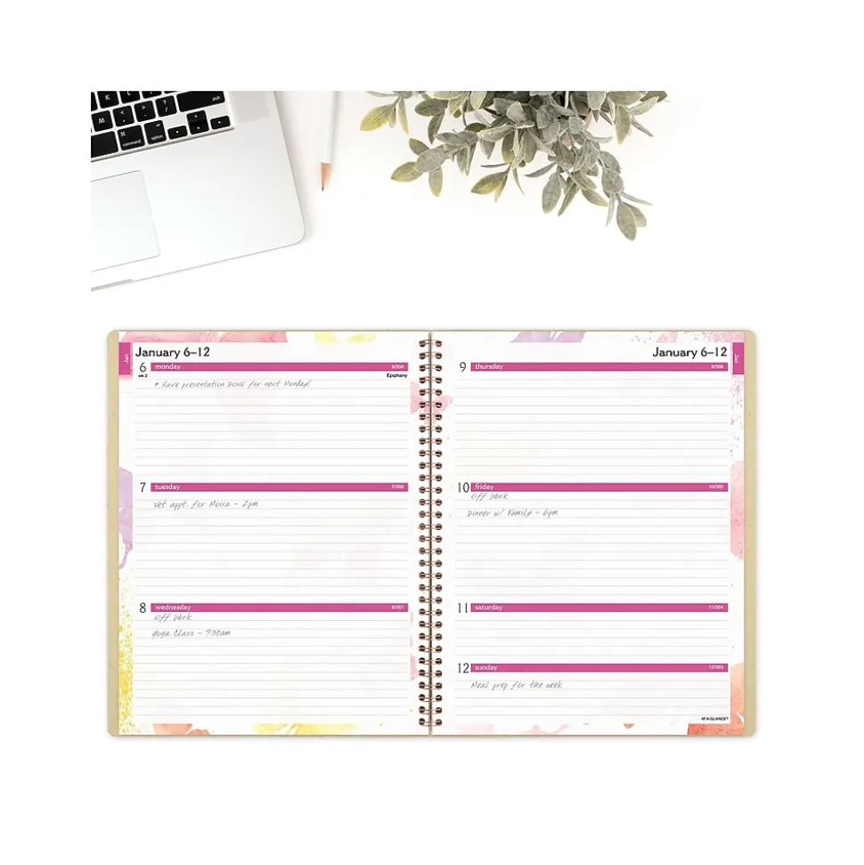 2025 AT-A-GLANCE Watercolors 8.5" x 11" Weekly & Monthly Planner, Paper Cover, Multicolor (791-905G-25)