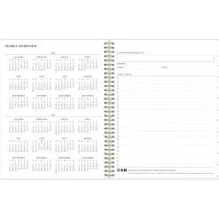 2024-2025 Blue Sky Ashley G Multicolor Smoke 8.5