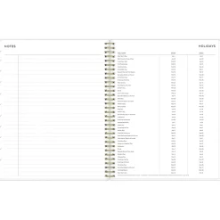 2024-2025 Blue Sky Ashley G Multicolor Smoke 8.5