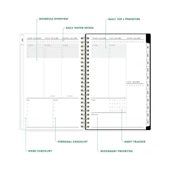 2025 Blue Sky Petiti 5