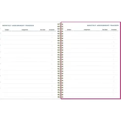 2023-2024 Blue Sky Plans & Things Confetti Bright 8.5