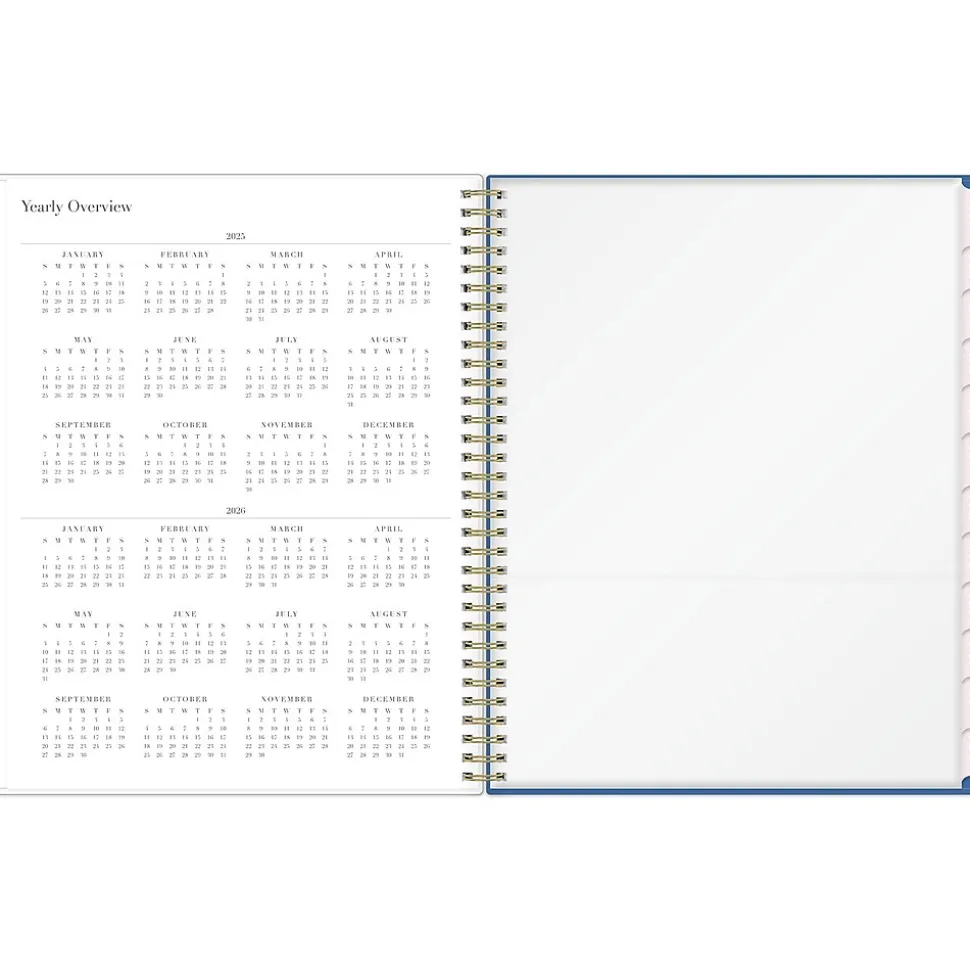 2025 Blue Sky Rachel Parcell Tressa 8.5" x 11" Weekly & Monthly Planner, Plastic Cover, Multicolor (151193)