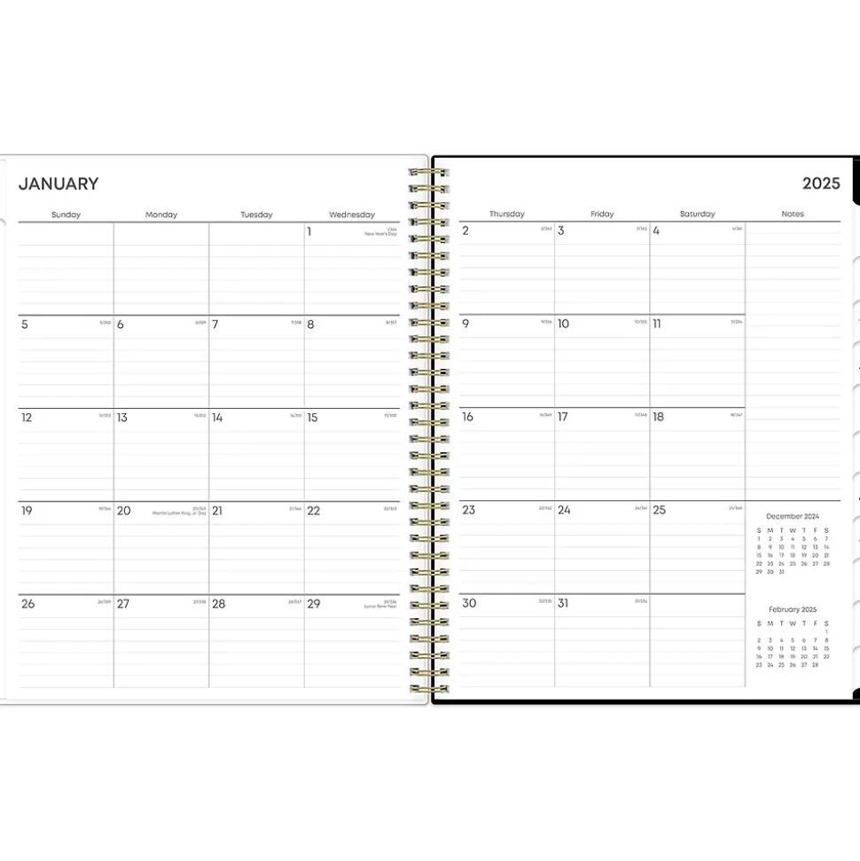 2025 Blue Sky Vonnie 8.5" x 11" Weekly & Monthly Planner, Plastic Cover, Multicolor (152196)