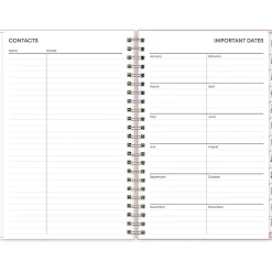 2025 Blue Sky Wednesday Stripe 5