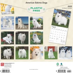 2025 BrownTrout American Eskimo Dogs 12" x 24" Monthly Square Wall Calendar (9781975476496)