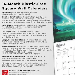 2025 BrownTrout Aurora Borealis Les aurores boréales 12