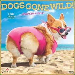 2025 BrownTrout Avanti Dogs Gone Wild 12" x 12" Monthly Wall Calendar (9781975479671)