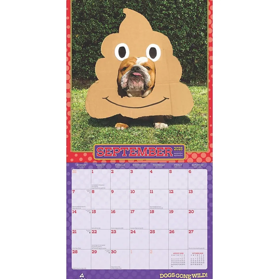 2025 BrownTrout Avanti Dogs Gone Wild 12" x 12" Monthly Wall Calendar (9781975479671)
