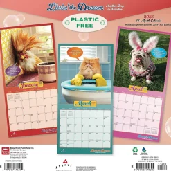 2025 BrownTrout Avanti Livin' the Dream 12" x 12" Monthly Square Wall Calendar (9781975479695)