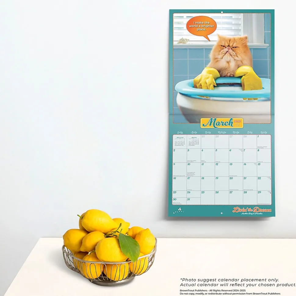2025 BrownTrout Avanti Livin' the Dream 12" x 12" Monthly Square Wall Calendar (9781975479695)