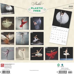 2025 BrownTrout Ballet 12" x 12" Monthly Square Wall Calendar (9781975474485)