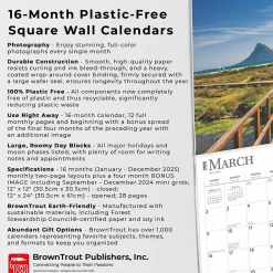 2025 BrownTrout Beaches 12