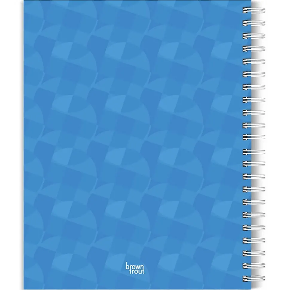 2025 BrownTrout Beaches 6" x 7.75" Weekly Engagement Planner, Paper Cover, Multicolored (9781975473198)