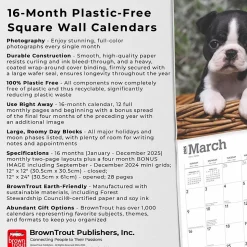 2025 BrownTrout Boston Terrier Puppies 12