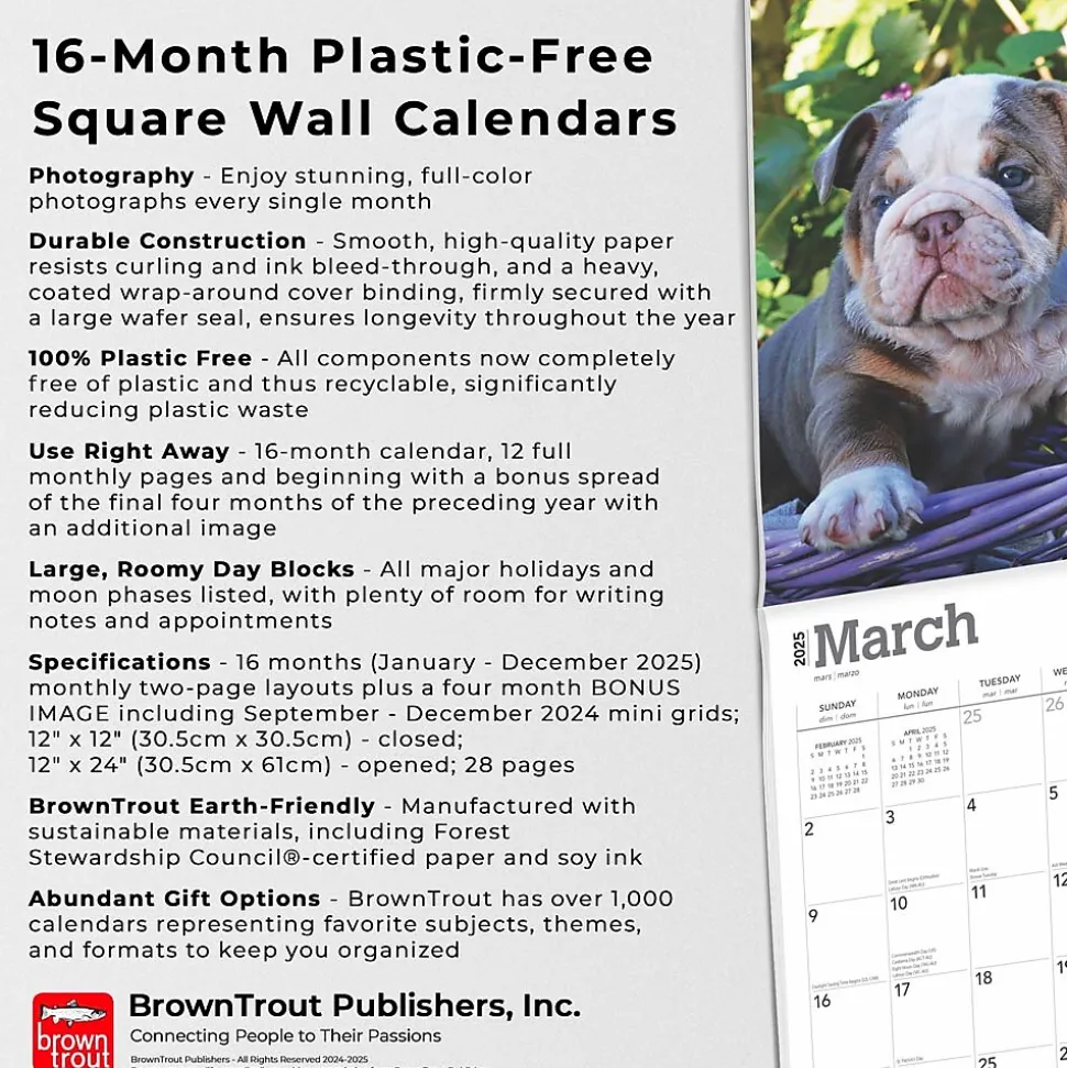 2025 BrownTrout Bulldog Puppies 12" x 12" Monthly Wall Calendar (9781975474539)