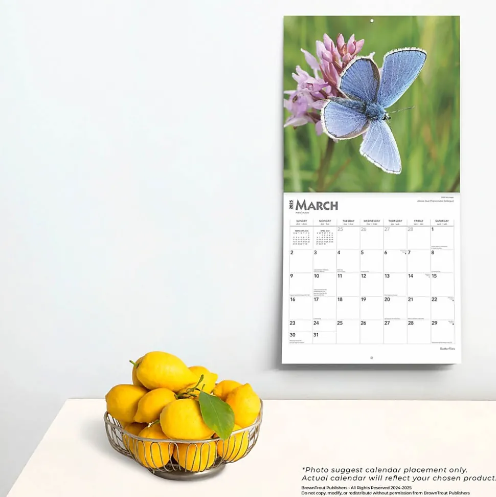 2025 BrownTrout Butterflies 12" x 12" Monthly Wall Calendar (9781975476762)
